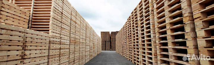 Поддоны новые