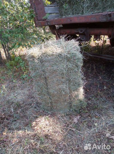 Сено в тюках