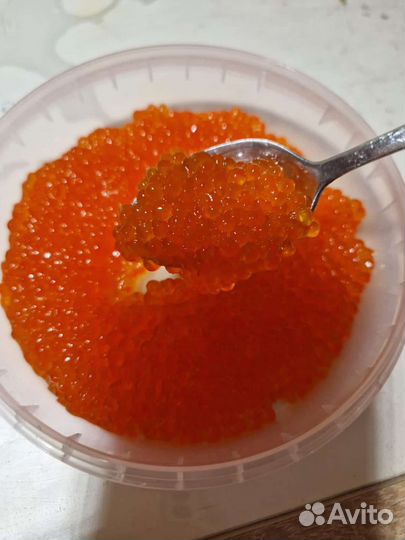 Форель непотрощенная из Киргизии