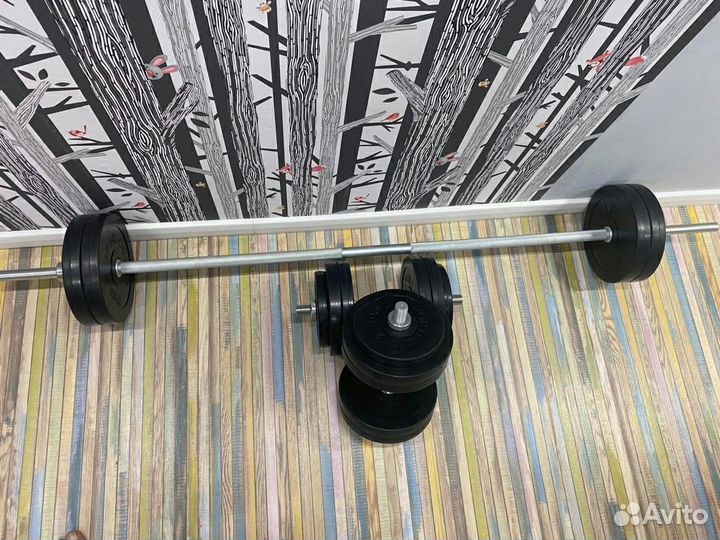 Штанга + гантели 55 кг
