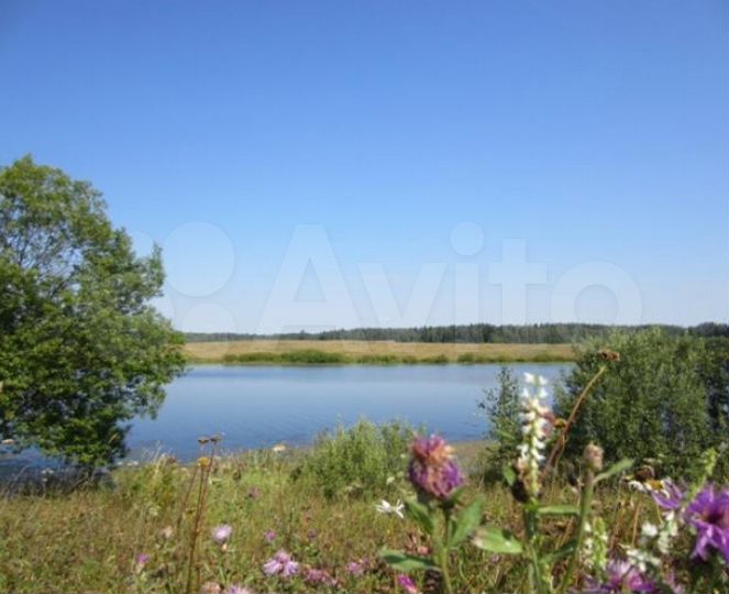 Участок 12 сот. (СНТ, ДНП)