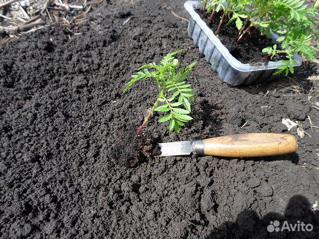 Плодородный грунт