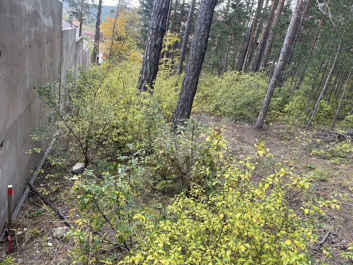 Участок 15 сот. (ИЖС)