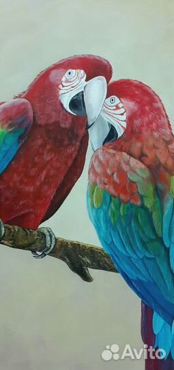 Попугаи Ara macao Картина