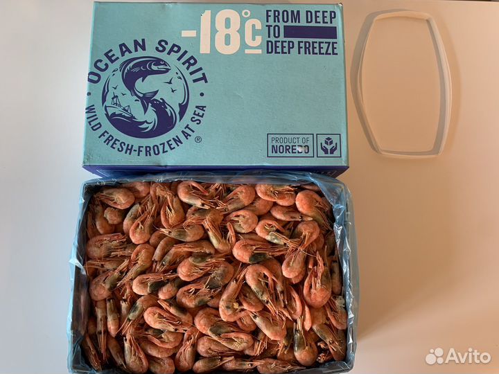 Креветка 90+ / мурманск