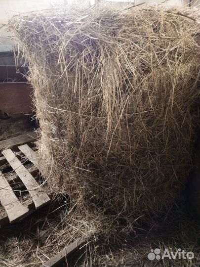 Сено в рулонах