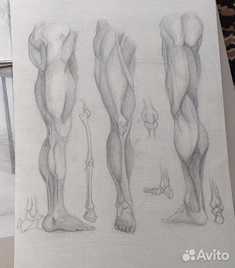 Набросок коленей, учебные работы