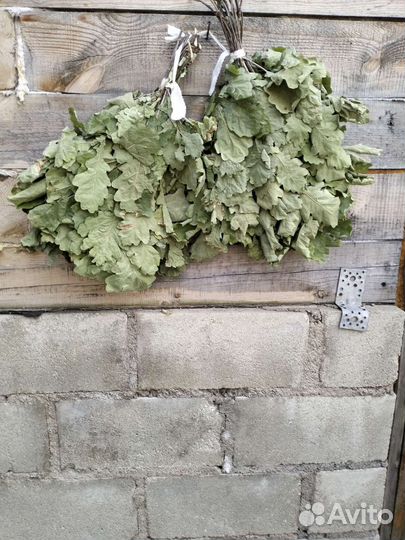Дубовые веники для бани