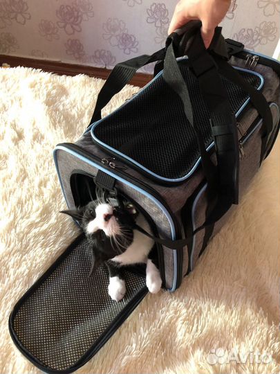 Сумка Переноска для кошек и собак Новая
