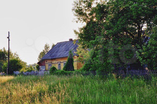 Участок 50 сот. (ИЖС)