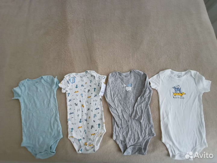 Бодики carters