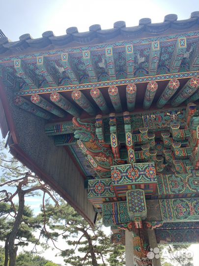 Репетитор по корейскому языку