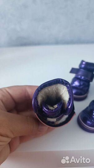 Обувь для собак мелких пород