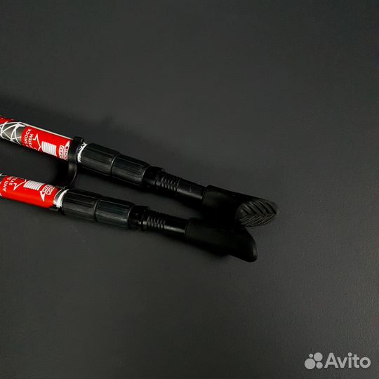 Палки для скандинавской ходьбы Vinson P300