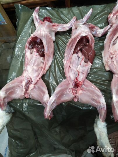 Продам мясо кролика