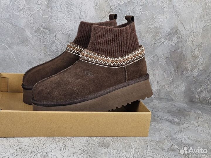 Угги женские Tazz knit шоколад