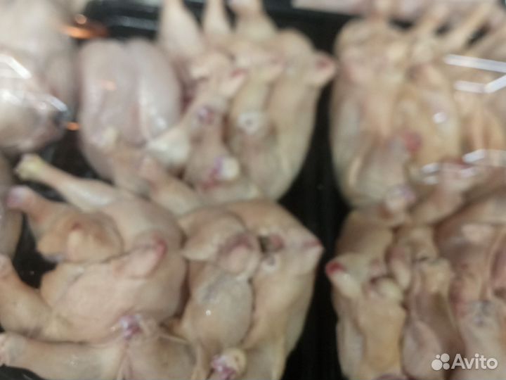 Окорочка куриные 130 филе 330