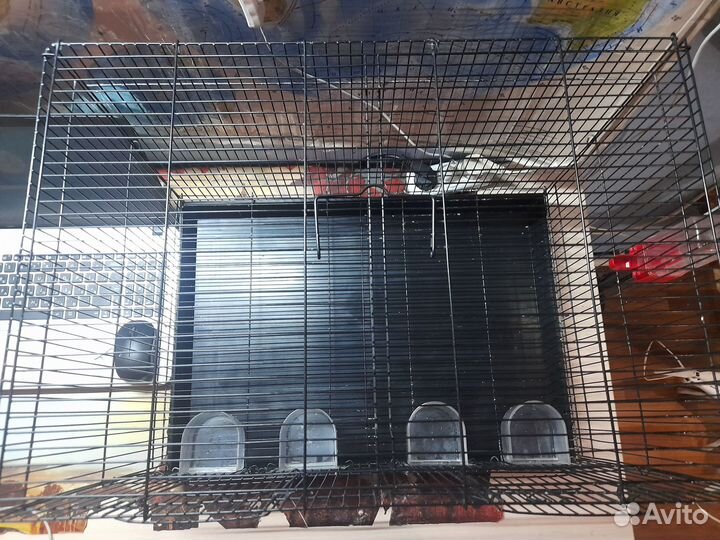 Большая клетка для птиц