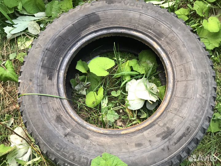 Accelera 651 Sport 2.25/75 R15 50