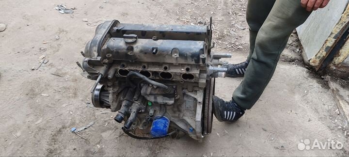 Двигатель форд фокус 2 1.6 shda