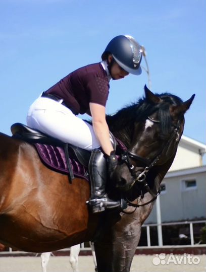 Вальтрап lemieux