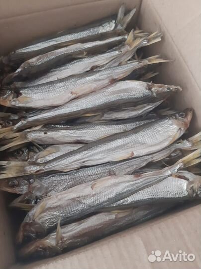 Рыба и морепродукты