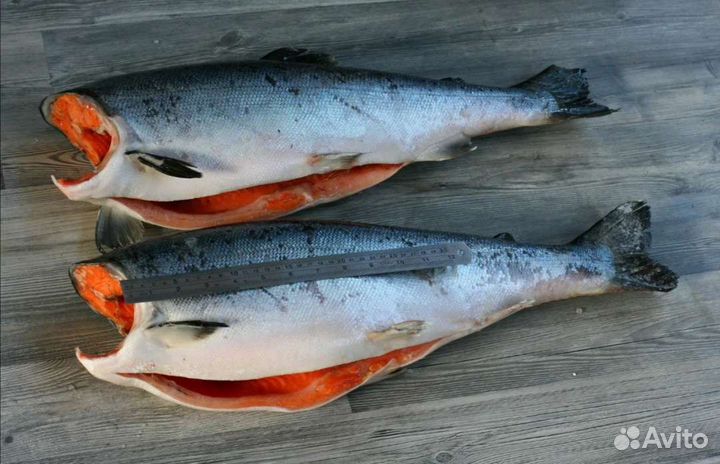 Кижуч брикет