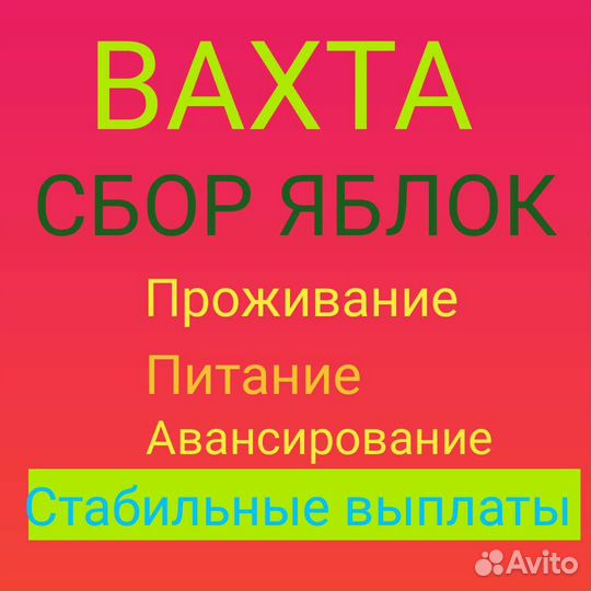 Разнорабочий вахта сбор яблок