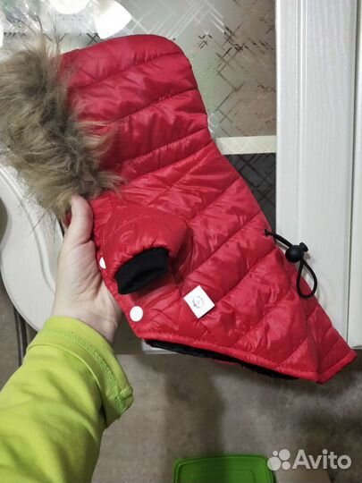 Одежда для очень маленькой собаки