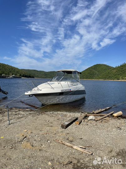 Катер maxum scr2400