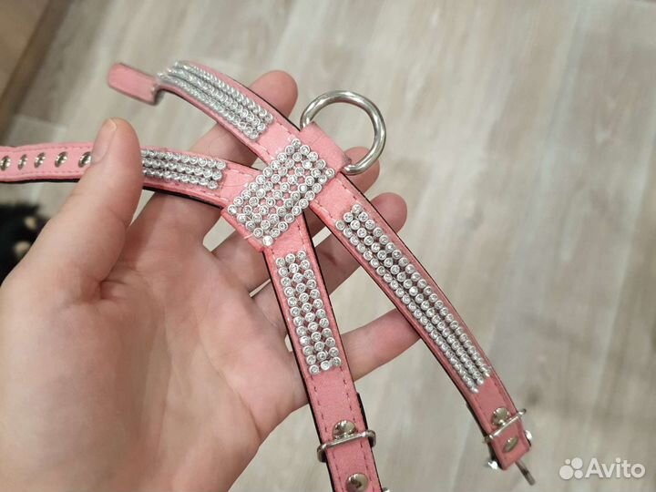 Шлейка на маленькую собачку