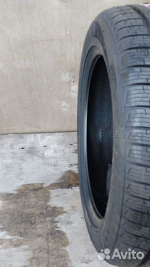 Tourador Winter Pro TSU1 275/45 R20 110V