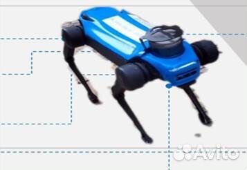 Интеллектуальный инспекционный робот