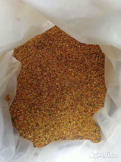 Пыльца пчелиная