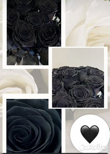 Цветы. Букет из Черных роз