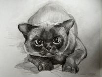 Нарисую портрет вашего кота