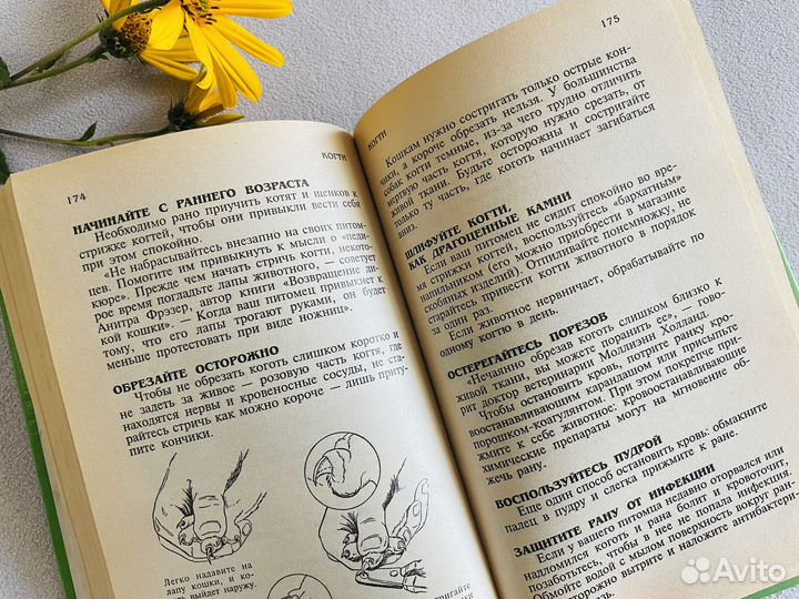 Книга Ваш четвероногий питомец