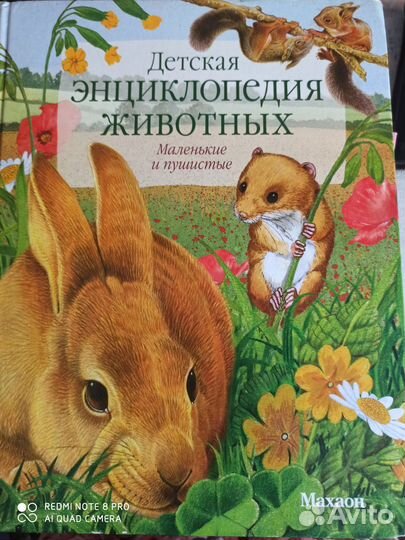 Энциклопедия для детей