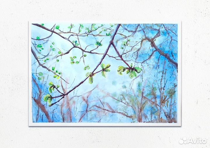 Акварельные картины
