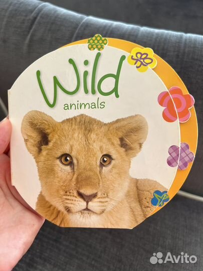 Книги для малышей на английском языке