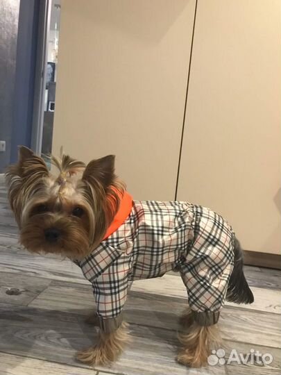 Двухсторонний дождевик