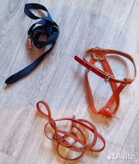 Одежда/обувь/амуниция,игрушки для собак