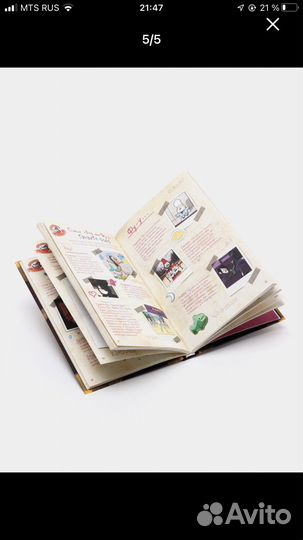 Гравити Фолз. Дневник Диппера и Мэйбл