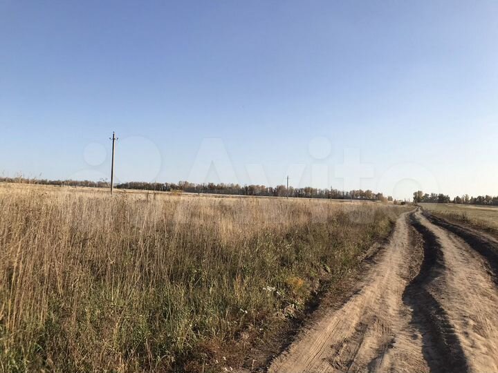 Участок 6 га (СНТ, ДНП)