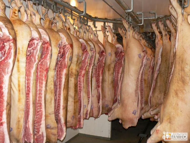 Свежее мясо оптом и в розницу