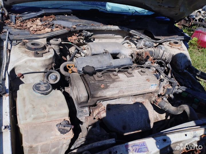 Toyota Corona Premio в разбор