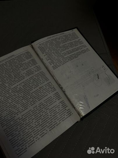 Привес анатомия человека