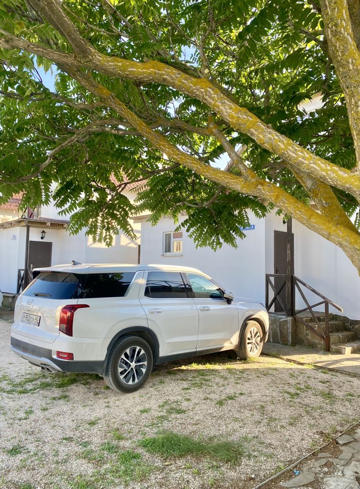 Hyundai Palisade: фото владельца