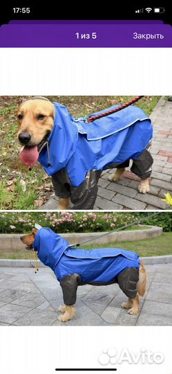 Дождевик для средней собаки