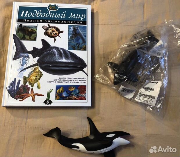 Динозавры и рептилии, дельфин касатка